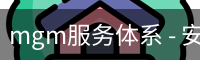 mgm服务体系 - 安全登录入口